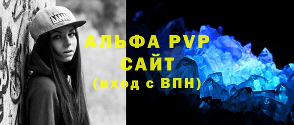 стаф Вяземский