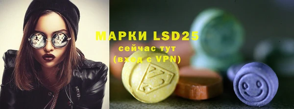 стаф Вяземский