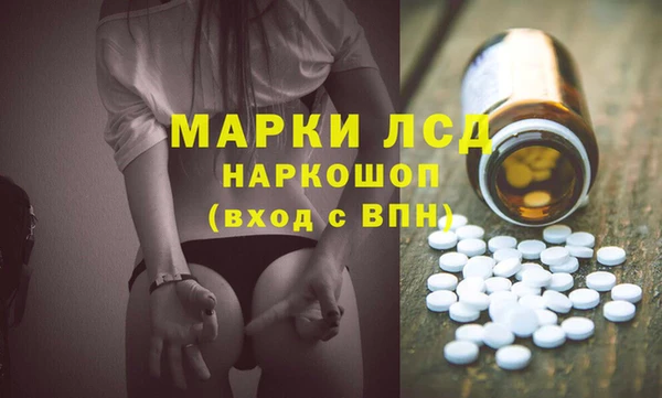 стаф Вяземский