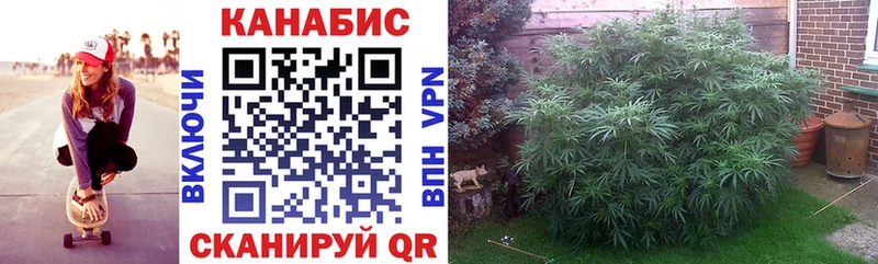 Марихуана LSD WEED  купить наркотики цена  Олёкминск 